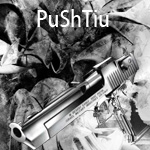 PuShTiu